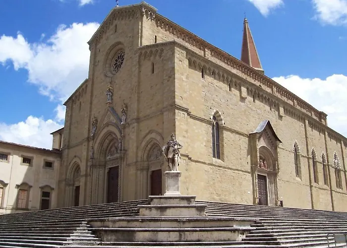 Dodo Arezzo