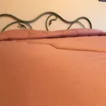 Dodo