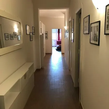 Dodo